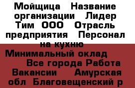 Мойщица › Название организации ­ Лидер Тим, ООО › Отрасль предприятия ­ Персонал на кухню › Минимальный оклад ­ 31 350 - Все города Работа » Вакансии   . Амурская обл.,Благовещенский р-н